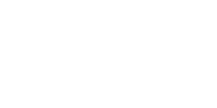 website-traffic-chart